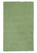 27" X 45" Polyester Spearmint Green Area Rug