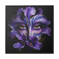 Purple Iris Flower Amber Eye Iris Framed Canvas