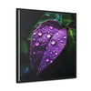 One Purple Leaf with Dew Drops Framed Canvas