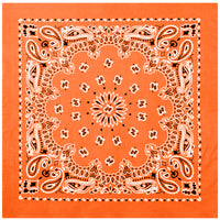 Trainmen Paisley Bandana – Extra-Large - 27” X 27"