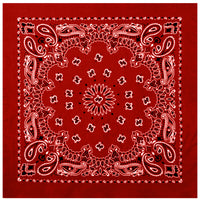 Trainmen Paisley Bandana – Extra-Large - 27” X 27"