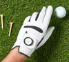 Pitbull Cabretta Leather Golf Glove