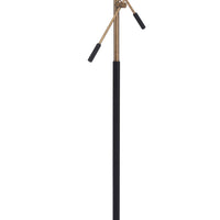 Black and Gold Adjustable Floor Lamp