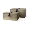 Set Of Two Brown Wooden Boxes With Metal Detailing