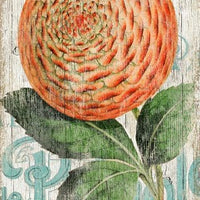 Orange Zinnia Flower Wall Art