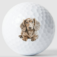 Dachshund in Tans Dog Golf Ball