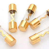 Agu Fuses 100amp 5 Pack Gold Xscorpion