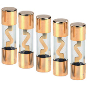 Audiopipe Agu 80 Amp Fuse (5 Pack)