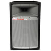 Mtx Thunderpro 10" 2-way Full Range Speaker Cabinet 100w Rms