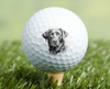 Chocolate Labrador Dog Golf Ball