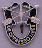 Special Forces Crest Pin