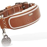 LINK AKC Smart Dog Collar - GPS Location Tracker, Activity Monitor, and More