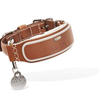 LINK AKC Smart Dog Collar - GPS Location Tracker, Activity Monitor, and More