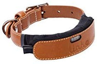 LINK AKC Smart Dog Collar - GPS Location Tracker, Activity Monitor, and More