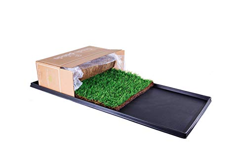 Fresh Patch XL Bundle, Real Grass Training Pad Plastic Tray 48x24"