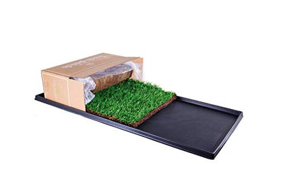 Fresh Patch XL Bundle, Real Grass Training Pad Plastic Tray 48x24