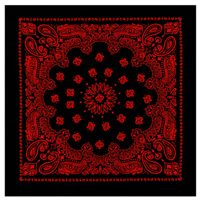 Trainmen Paisley Bandana - 22