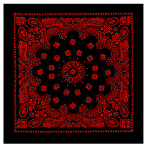 Trainmen Paisley Bandana - 22" X 22"