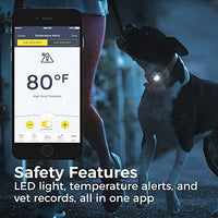 LINK AKC Smart Dog Collar - GPS Location Tracker, Activity Monitor, and More