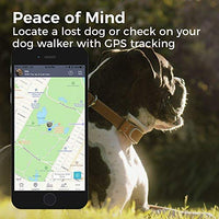 LINK AKC Smart Dog Collar - GPS Location Tracker, Activity Monitor, and More