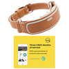 LINK AKC Smart Dog Collar - GPS Location Tracker, Activity Monitor, and More