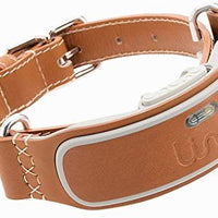 LINK AKC Smart Dog Collar - GPS Location Tracker, Activity Monitor, and More