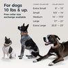 LINK AKC Smart Dog Collar - GPS Location Tracker, Activity Monitor, and More
