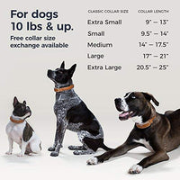 LINK AKC Smart Dog Collar - GPS Location Tracker, Activity Monitor, and More