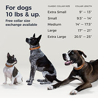 LINK AKC Smart Dog Collar - GPS Location Tracker, Activity Monitor, and More