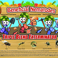 Termite Exterminator and Fleas DIY - Natural and Works 100% Results within 24 hours!