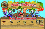 Termite Exterminator and Fleas DIY - Natural and Works 100% Results within 24 hours!
