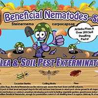 Flea and Fly Exterminator - 10 Million Live Nematodes SC