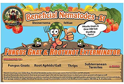 Fungus Gnat, Rootknot, Roaches, Gall Exterminator - 10 Million Nematodes SF