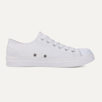 Colour Changing Converse Low Top Canvas Shoe