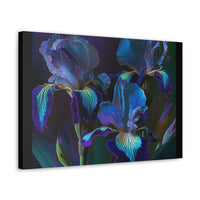 3 Baroque Purple & Blue Irises Canvas Gallery Wrap