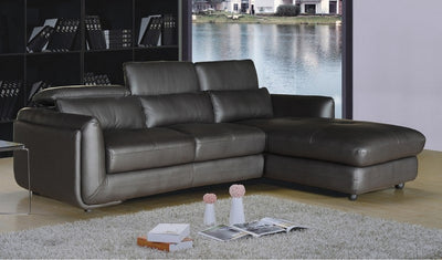 Brown 2 Piece Leather Living Room Sectional