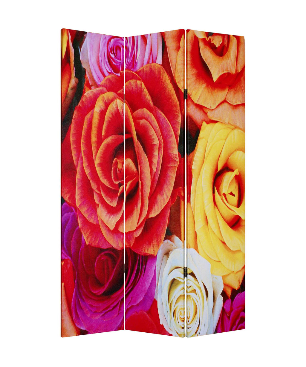 48" X 72" Multi-Color Wood Canvas Daisy And Rose Screen