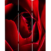 48" X 72" Multi-Color Wood Canvas Rose Screen