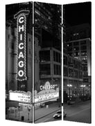 48" X 72" Multi-Color Wood Canvas Chicago Screen