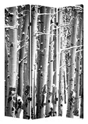 48" X 72" Multi-Color Wood Canvas Birch Screen