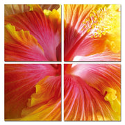 24" Multicolor Canvas 4 Panels Hibiscus Photo