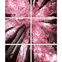 24" Canvas 6 Panels Blossom Trees Color Photo
