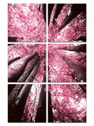 24" Canvas 6 Panels Blossom Trees Color Photo