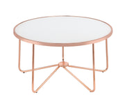 34" X 34" X 18" Frosted Glass And Rose Gold Coffee Table