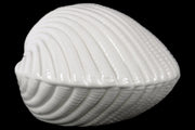 Ceramic Clam Seashell Figurine Gloss Finish White