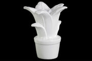 Adorning Ceramic Flower Figurine on Pot- White