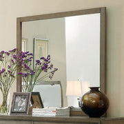 Contemporary Style Gray Finish Mirror