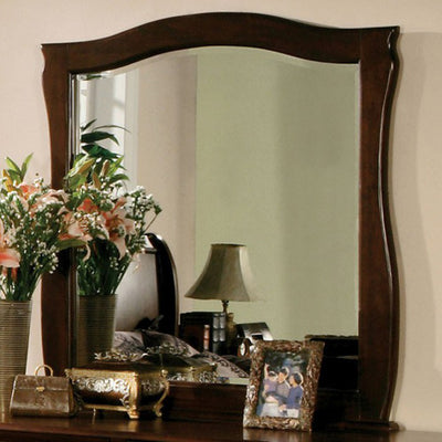 Dark Walnut Transitional Style Mirror