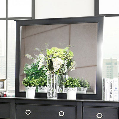 Transitional Style Black Finish Mirror