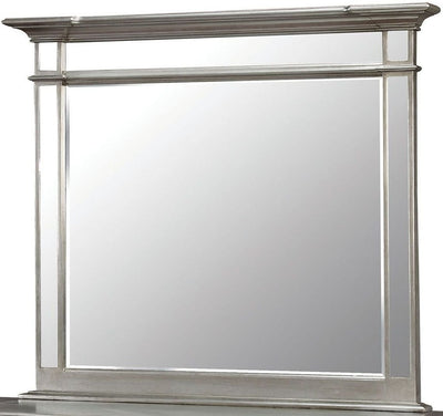 Contemporary Style Mirror , Silver